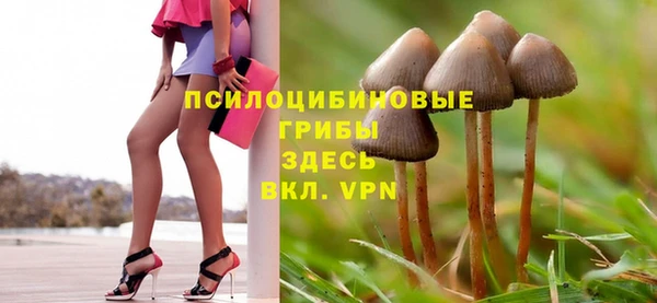 стафф Вязьма