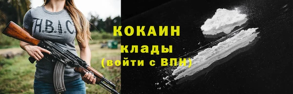 apvp Вяземский