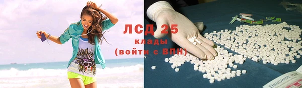 apvp Вяземский