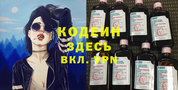 apvp Вяземский