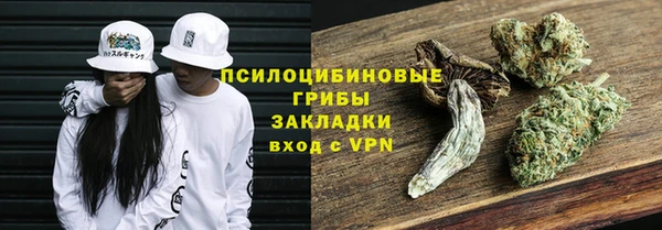 стафф Вязьма