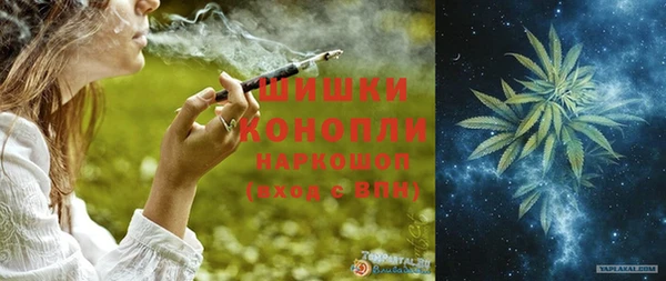 стафф Вязьма