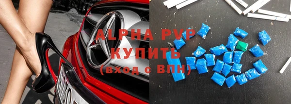 стафф Вязьма