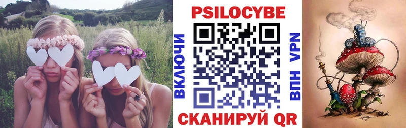 Галлюциногенные грибы Psilocybine cubensis Инсар